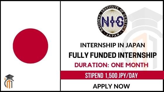 NIG Summer Internship in Japan 2021