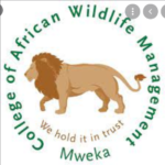 Mweka Selected Applicants 2021/2022 |College of African Wildlife Management CAWM Mweka Selection 2021/2022