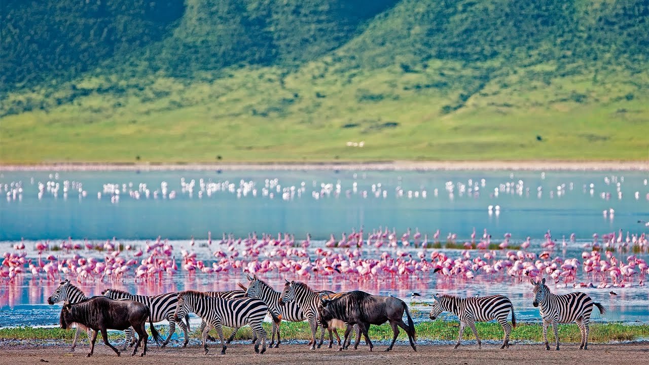 Ngorongoro Conservation Area (NCA)