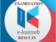 Kasneb Examination Results 2023/2024 online.kasneb.or.kestudent portal